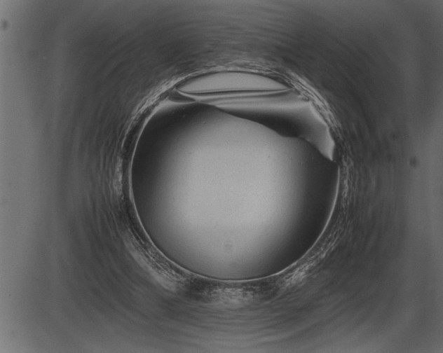 X0000086290298200704091002