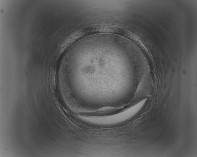 X0000086290299200704091002