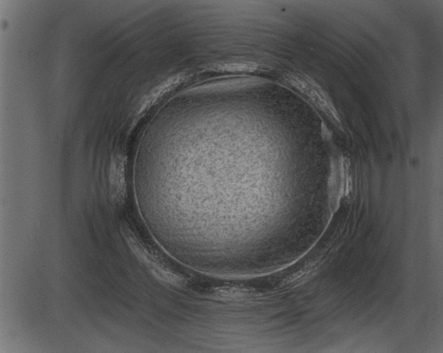 X0000086290300200704091002