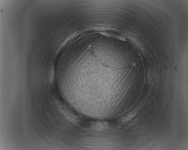 X0000086290304200704091002