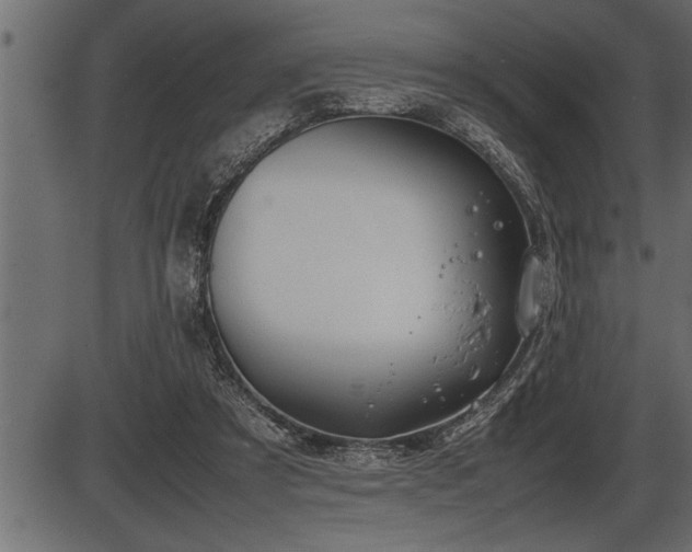 X0000086290305200704091002