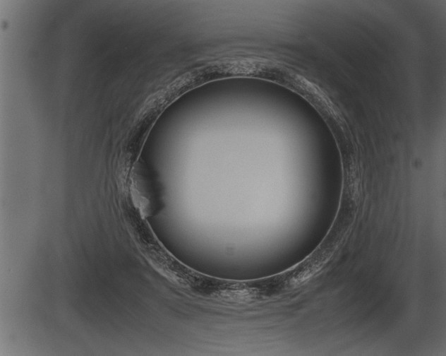X0000086290307200704091002