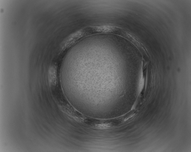 X0000086290312200704091002