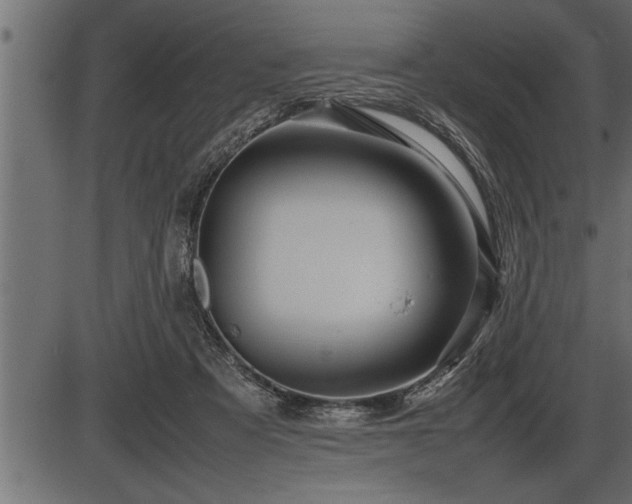 X0000086290313200704091002