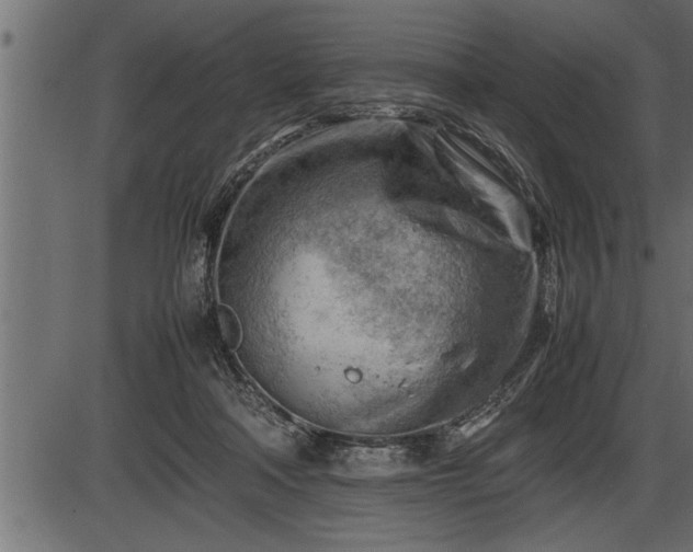 X0000086290314200704091002