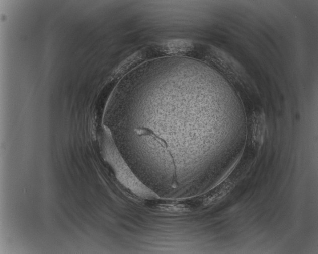 X0000086290316200704091002