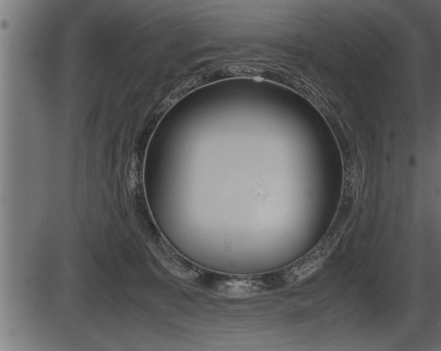 X0000086290323200704091002