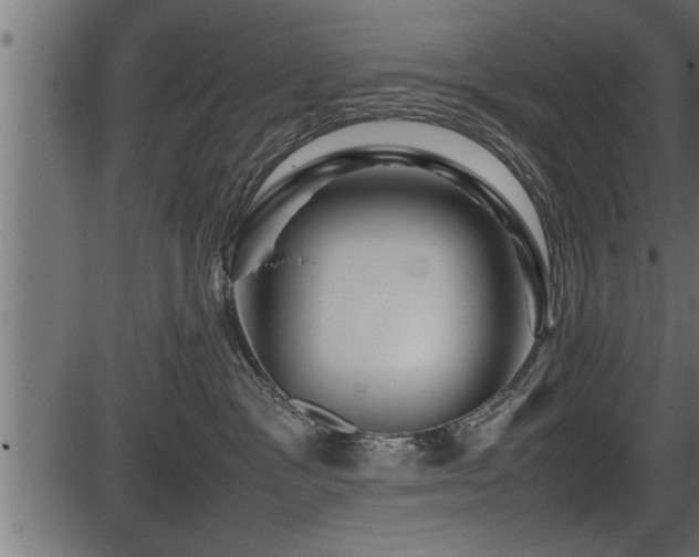 X0000086290333200704091002