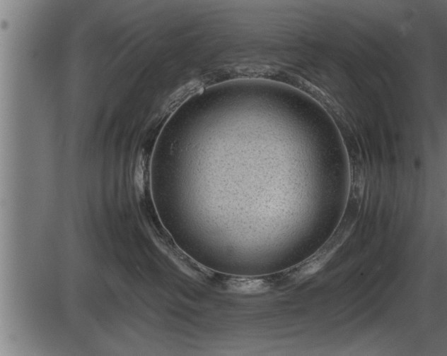 X0000086290334200704091002