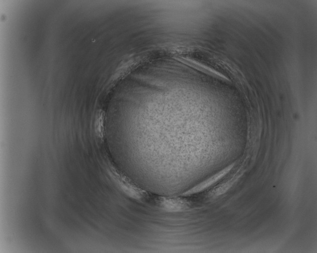 X0000086290336200704091002