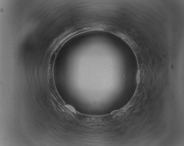 X0000086290338200704091001