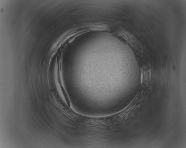 X0000086290339200704091001