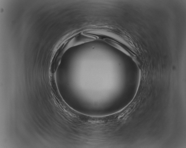 X0000086290340200704091001
