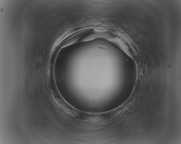 X0000086290344200704091001