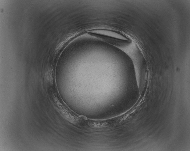 X0000086290345200704091001
