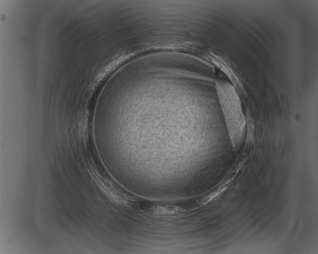 X0000086290346200704091001