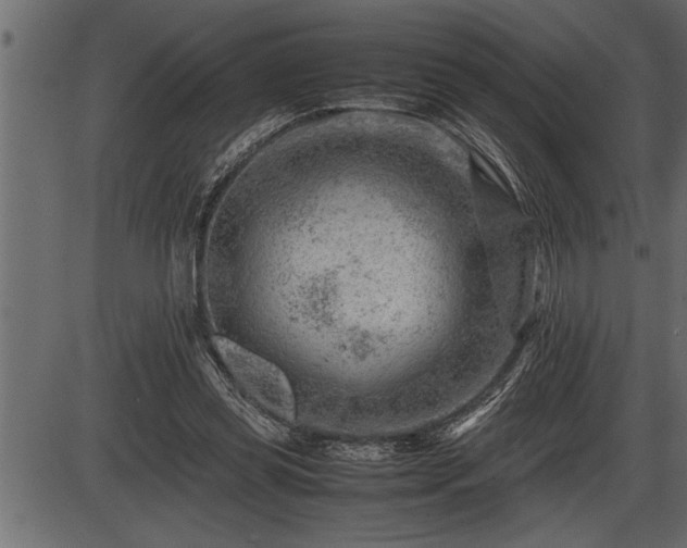 X0000086290349200704091001