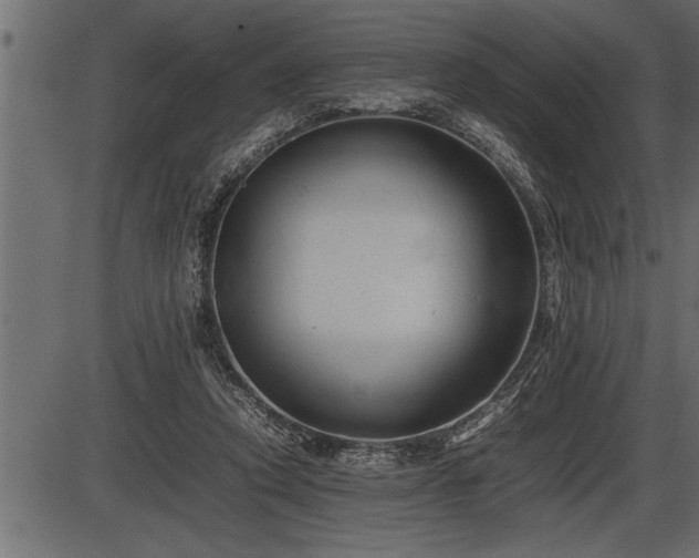 X0000086290354200704091001