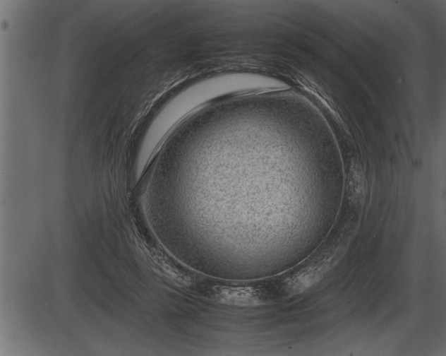 X0000086290355200704091001