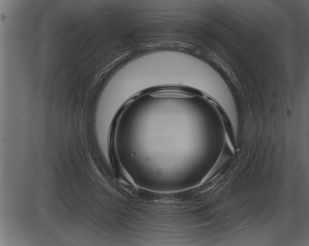 X0000086290356200704091001