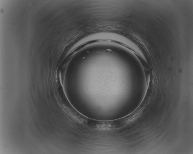 X0000086290362200704091001