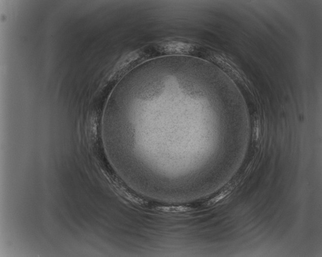 X0000086290363200704091001