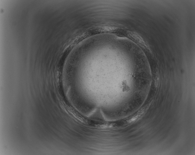 X0000086290366200704091001