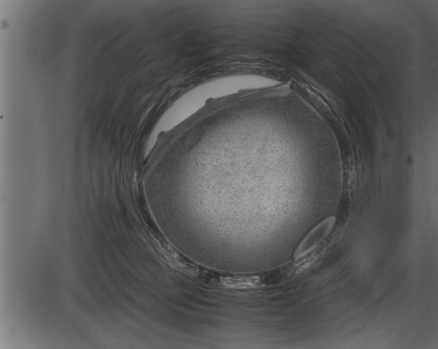X0000086290373200704091002