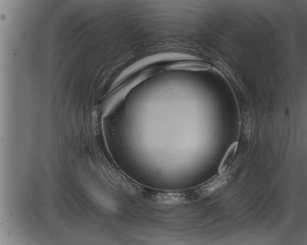 X0000086290378200704091002