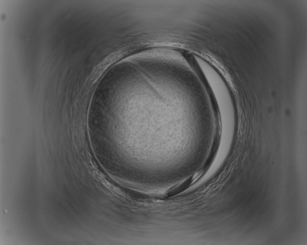 X0000086290385200704091001