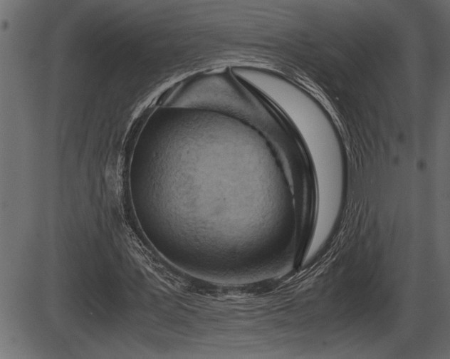 X0000086290387200704091001