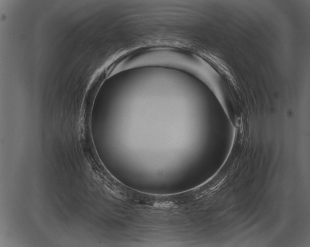 X0000086290388200704091001
