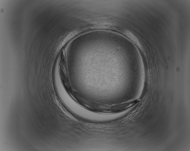 X0000086290389200704091001