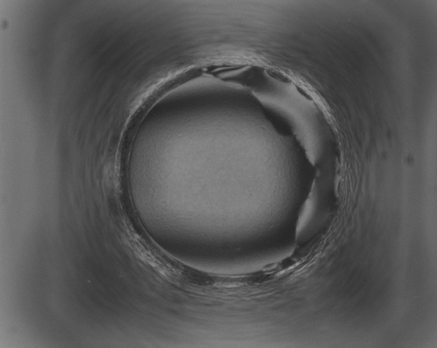 X0000086290391200704091001