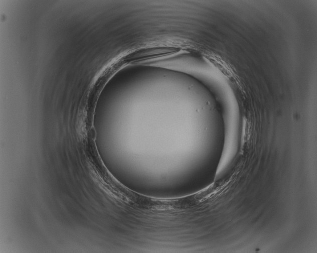 X0000086290392200704091001