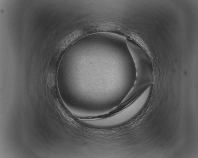 X0000086290393200704091001