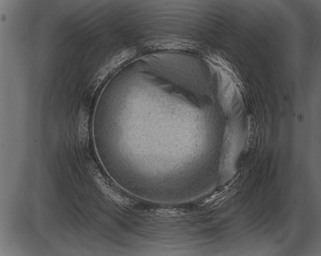 X0000086290394200704091001