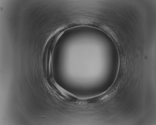 X0000086290395200704091001