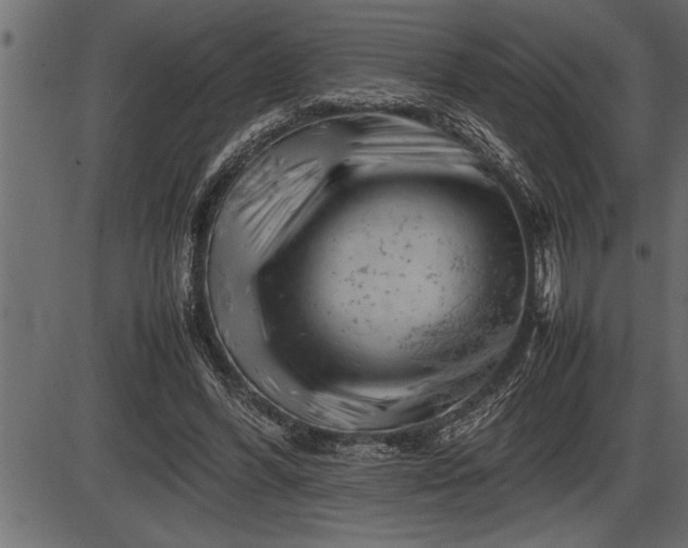 X0000086290396200704091001