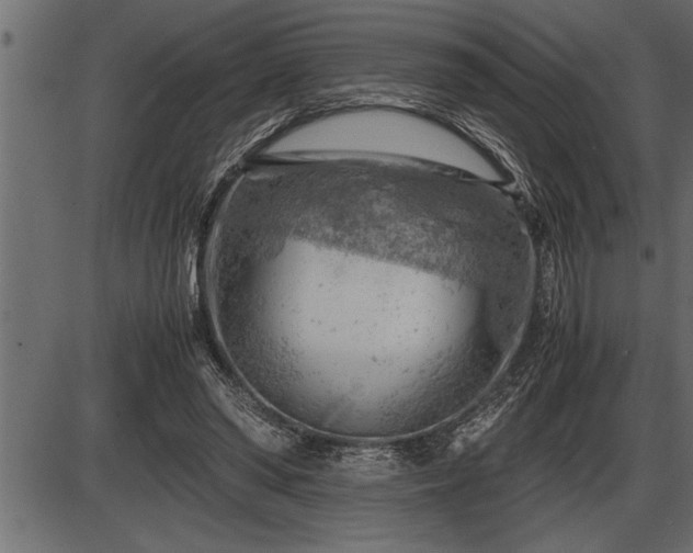 X0000086290398200704091001