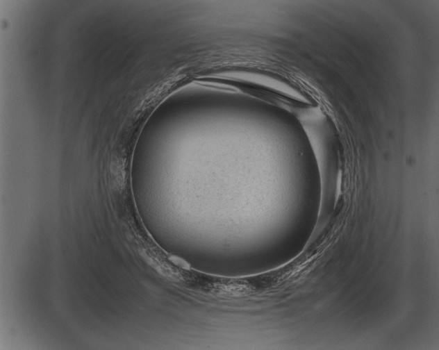 X0000086290401200704091001
