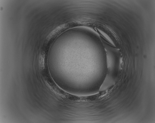 X0000086290404200704091001