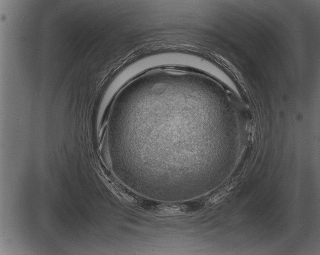 X0000086290405200704091001