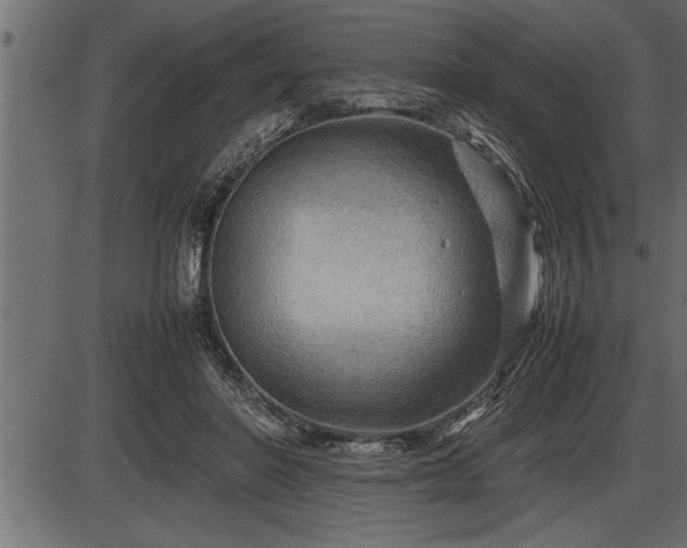 X0000086290406200704091001