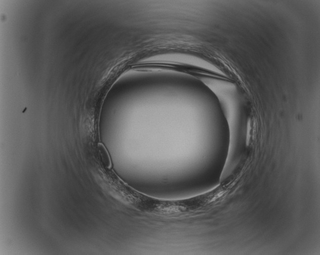 X0000086290407200704091001