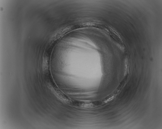 X0000086290410200704091001