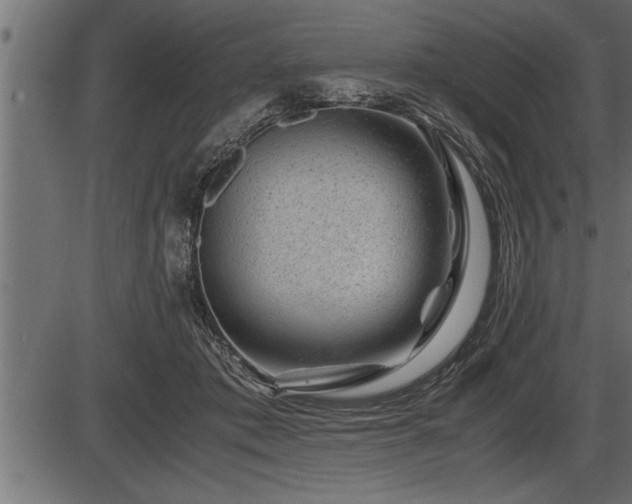 X0000086290413200704091001