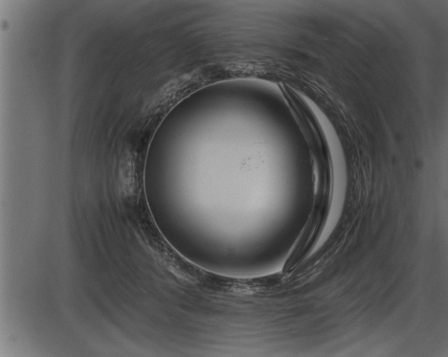 X0000086290416200704091000