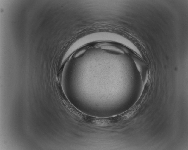 X0000086290417200704091000