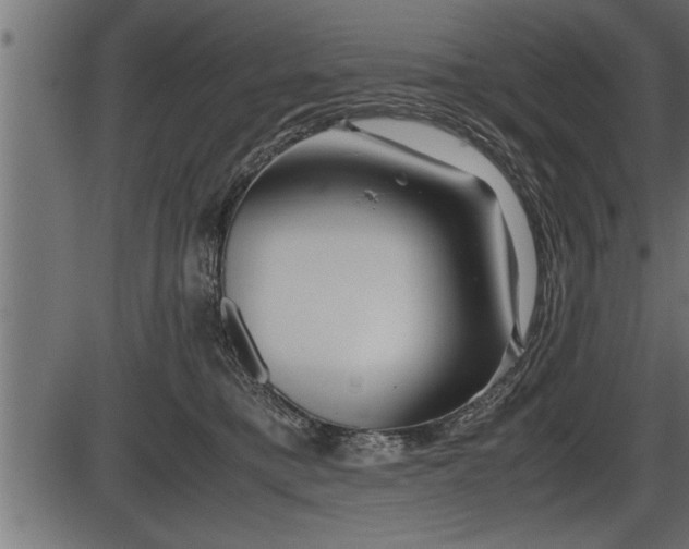 X0000086290421200704091000